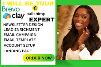 enrich verify clay com automate email campaigns  brevo mailchimp landing page