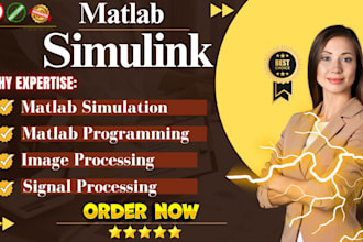 do matlab programming, simulink, image and signal processing projects