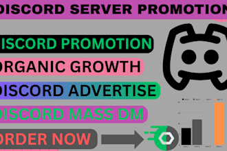 promote your discord server to get real and active members