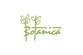design a hand drawn botanical boho logo with natural