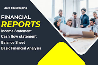 prepare quarterly financial reports using xero for small businesses