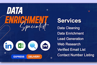 do professional data enrichment services