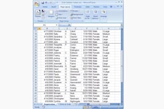 do fast and accurate hindi english typing data entry and online net surfing