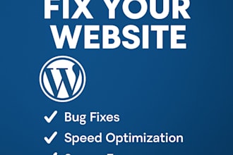 fix your wordpress website errors, bugs, or performance issues