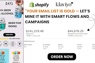 do klaviyo setup for ecommerce brands and store, flows, campaigns, segmentation
