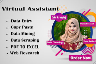 do data entry, copy paste, typing, data mining and web research