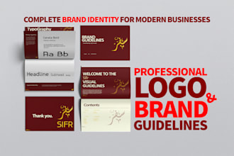 professional logo and brand guidelines