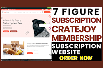 build 7 figure subscription box subscription website membership website subbly