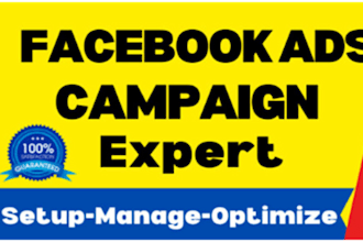 run expert google ads and facebook ads campaigns to boost your traffic