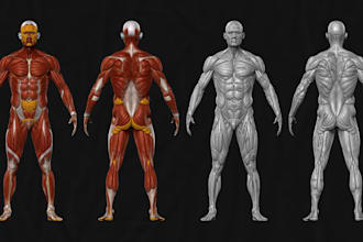 human anatomy 3d animation,glb site model,organ,animal part,skeleton stl 3dprint