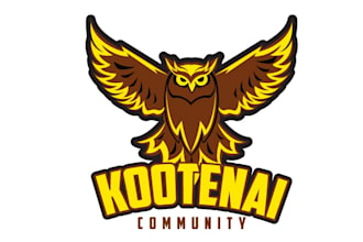 design a modern beautiful owl logo