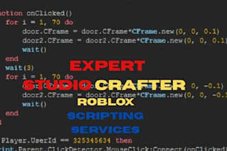 script for you on roblox as a professional scripter