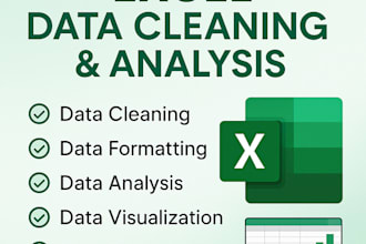 do data entry, data cleaning, data analysis and data visualization in excel