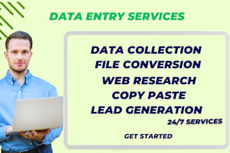 do data entry services of file conversion, copy paste etc