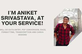 do data entry, PDF to word, transcription, canva design and more