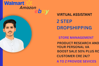 be your VA for walmart wfs  and 2step drop shipping