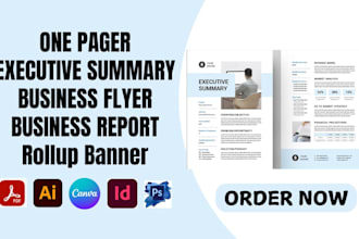 design one pager executive summary, investment teaser, infographics, sales sheet