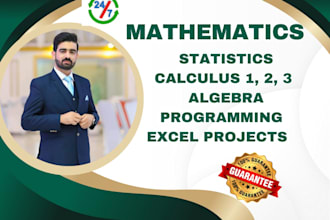 help you tackle with maths, statistics, algebra, calculus and excel project
