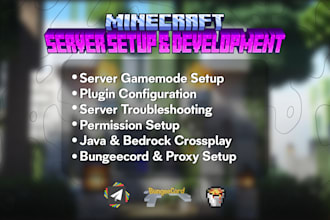 set up a professional minecraft server with plugins and optimization