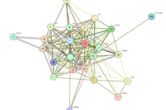 network pharmacology mainly, also simulation, docking