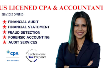 perform forensic accounting, financial auditing, and detect financial fraud