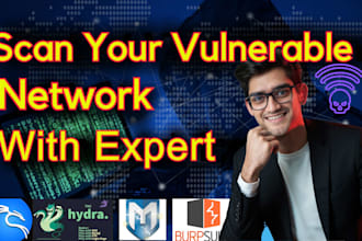 provide a full cybersecurity audit for your private network or websites