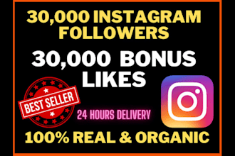 increase your instagram, facebook or tiktok followers fast and safely