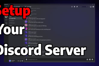 professionally set up your discord server with optional custom bot