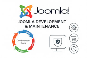 maintain, update, and develop your website professionally