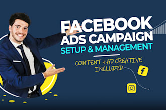setup and manage facebook ads campaign meta ads for leads and sales