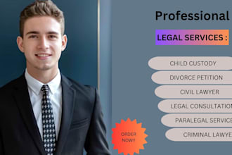 your lawyer, paralegal in civil, criminal, family, divorce, child custody cases
