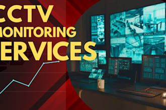 provide 24 7 remote cctv monitoring as a security guard