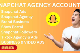 create and approve snapchat agency account snapchat ads show portal ads campaign