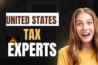 prepare and efile your US tax returns as a certified CPA
