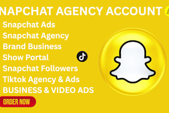 create approve snapchat agency and ads account show portal ads campaign