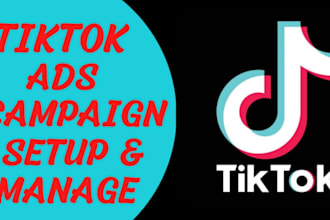 run tik tok ads, tik tok ads manager, and tiktok marketing