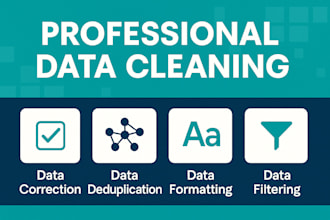 clean and organize your excel or CSV data