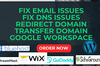 resolve email and dns problems for namecheap, godaddy, bluehost, wix