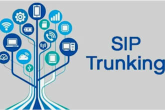 set up sip trunk,3cx,caller id, phone system, spoof website, spoof api, voip