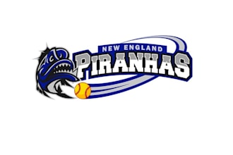 design looking fast pitch softball team logo