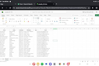 data entry and data analysis