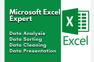 be your professional data cleaner and data analyst on excel
