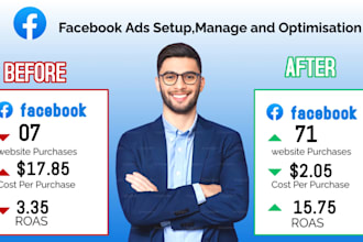 create and manage high converting meta ads campaign for sales