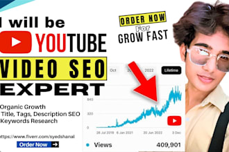 be your youtube SEO expert for video ranking and channel success