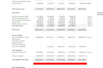 do managerial reporting, financial statement preparation, budget analysis