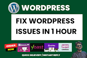 fix wordpress issues, elementor bugs, or theme problems