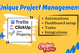help you set up, manage your workflow, dashboard on clickup, trello, notion