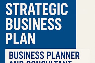 work as a business consultant and business plan developer