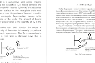 manually translate english to ukrainian with accuracy and speed