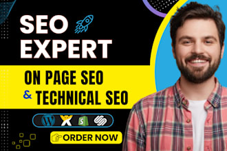 do onpage SEO and technical optimization for wordpress wix shopify squarespace
